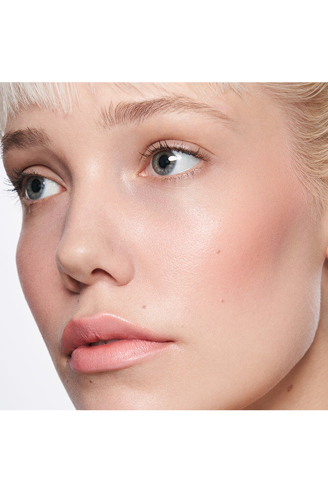  Complete Harmony Lip & Cheek Stick Sheer Gerbera