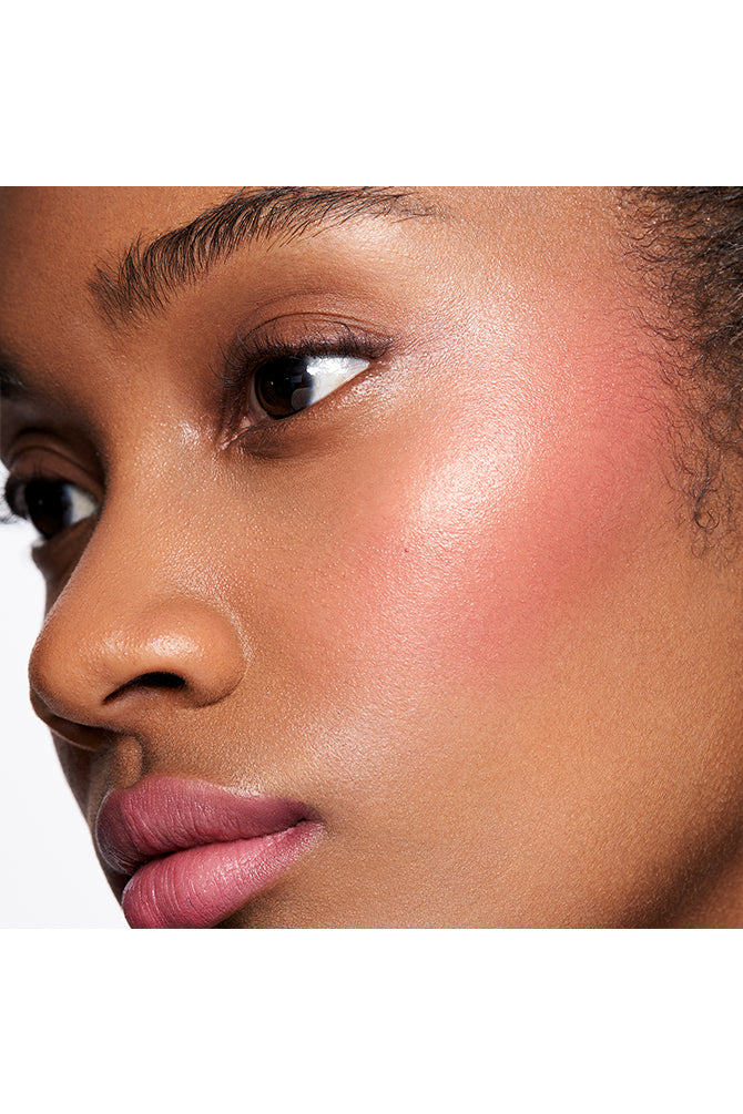  Complete Harmony Lip & Cheek Stick Sheer Petunia